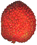 Eten en drinken Eten en drinken plaatjes Lychee 
