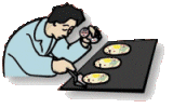 Eten en drinken Eten en drinken plaatjes Pannekoeken en poffertjes 