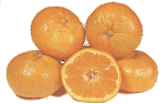 Eten en drinken Sinaasappels Eten en drinken plaatjes Vier Oranje Sinaasappelenen Een Halve Doorgesneden Sinaasappel 