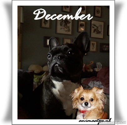 December Facebook plaatjes 