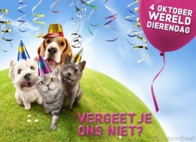 Dierendag Facebook plaatjes 
