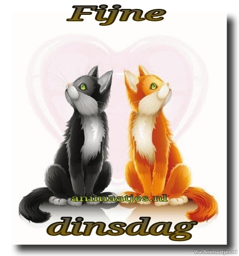 dinsdag Facebook plaatjes 