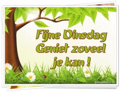 dinsdag Facebook plaatjes 