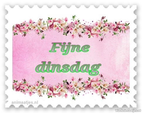 dinsdag Facebook plaatjes 