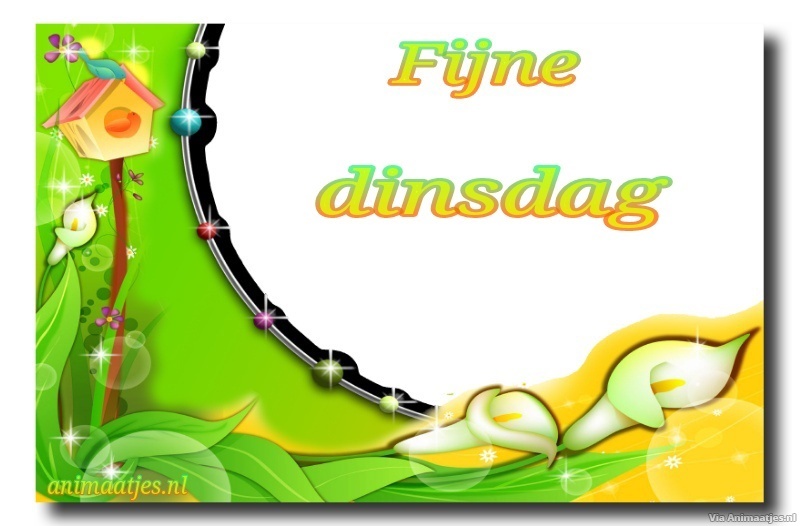 dinsdag Facebook plaatjes 