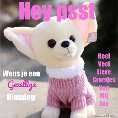 dinsdag Facebook plaatjes 