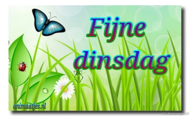dinsdag Facebook plaatjes 