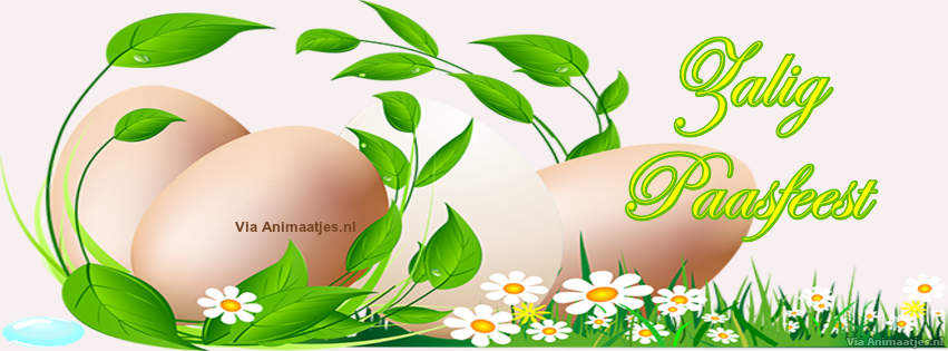Facebook plaatjes Facebook covers 