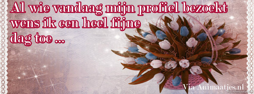 Facebook plaatjes Facebook covers 