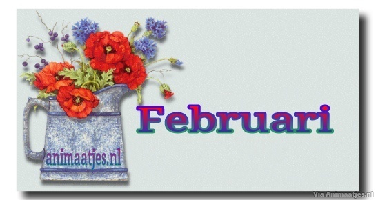 Februari Facebook plaatjes 