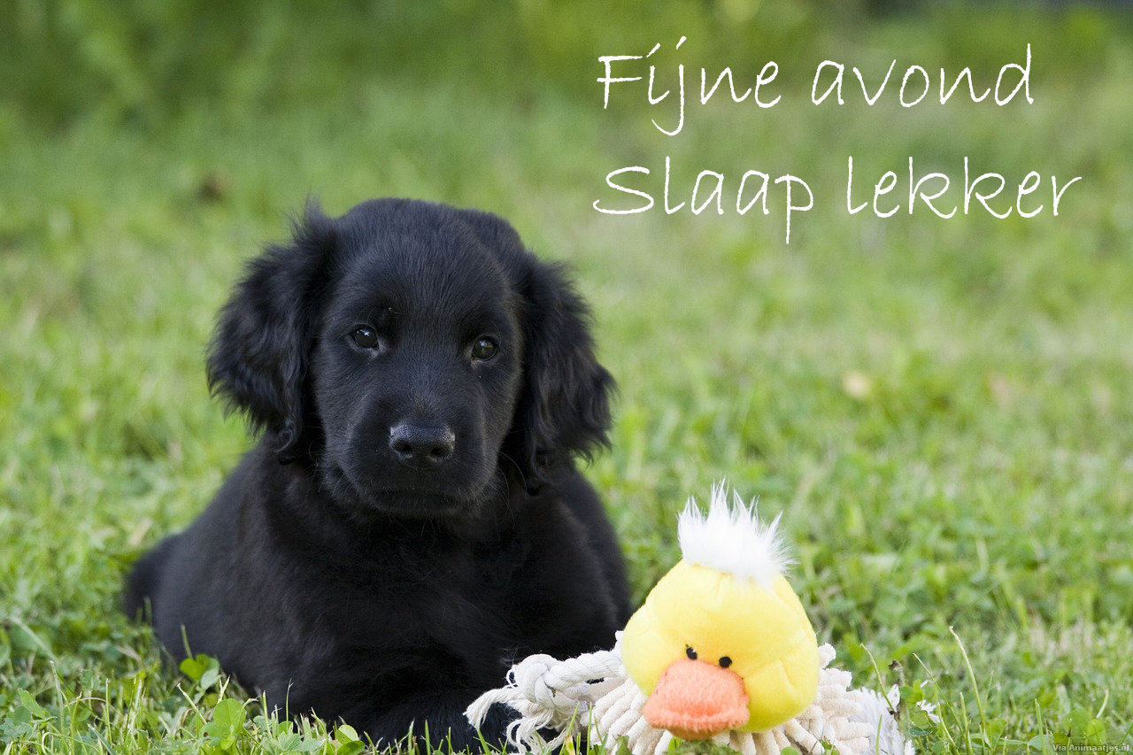 Fijne avond Facebook plaatjes 