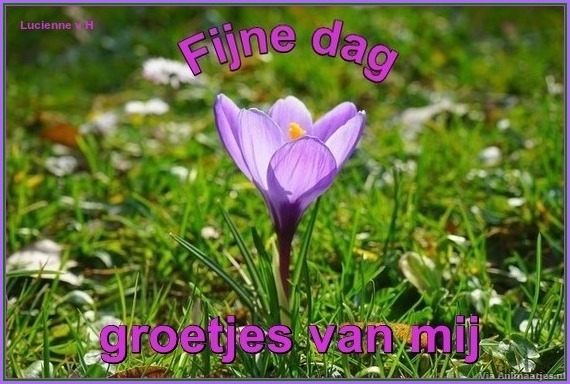 fijne dag Facebook plaatjes 