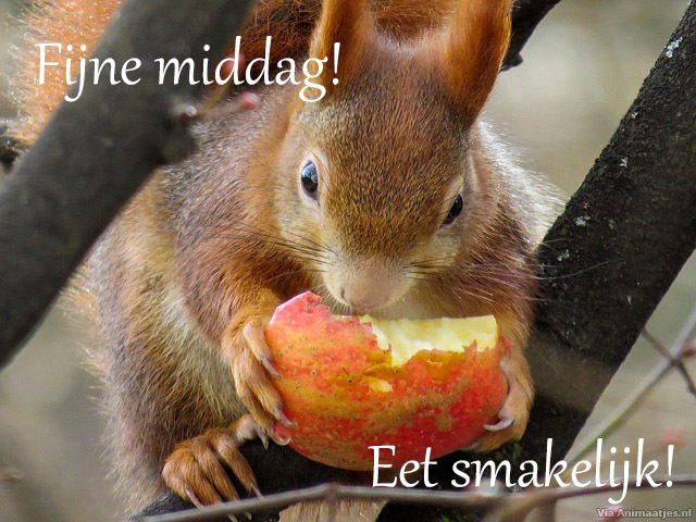Fijne middag Facebook plaatjes 