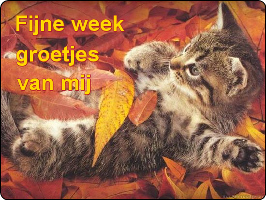 fijne week Facebook plaatjes 