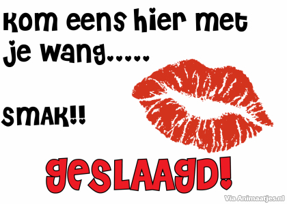 Geslaagd Facebook plaatjes 