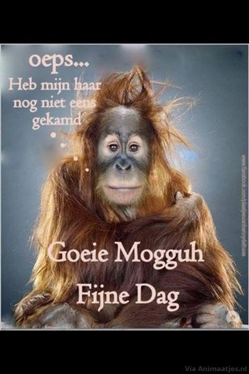 Goedemorgen Facebook plaatjes 