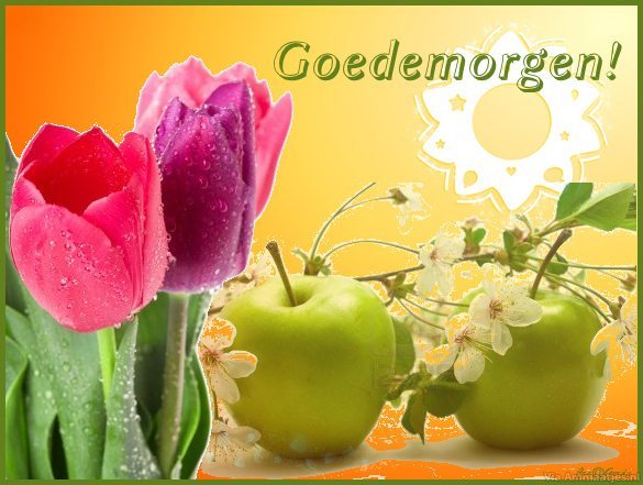 Goedemorgen Facebook plaatjes 