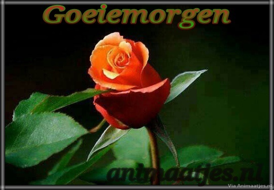 Goedemorgen Facebook plaatjes 