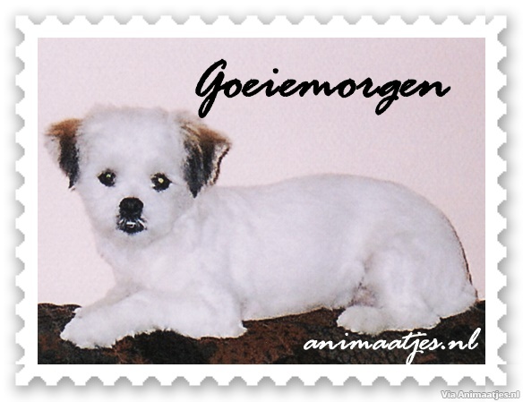 Goedemorgen Facebook plaatjes 