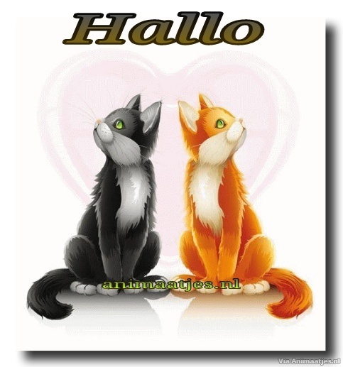 Hallo Facebook plaatjes 