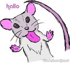 Hallo Facebook plaatjes 
