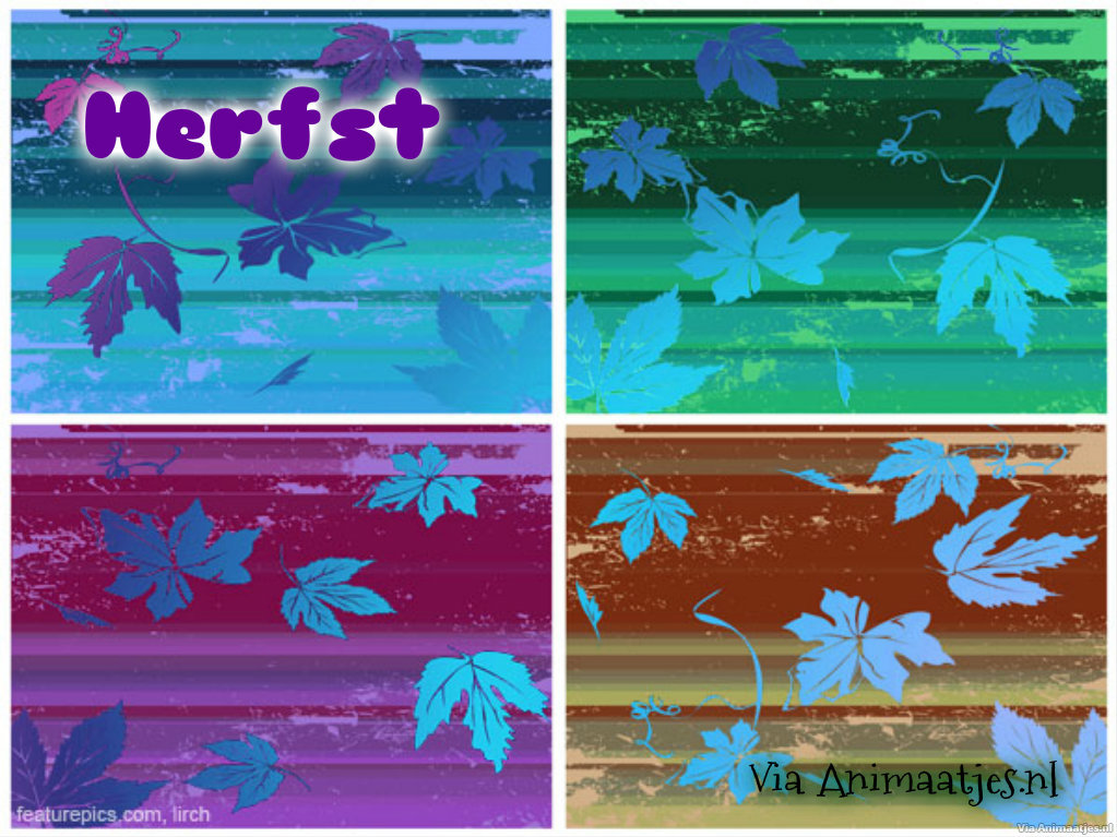 Herfst Facebook plaatjes 