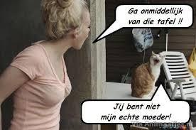 Humor Facebook plaatjes 