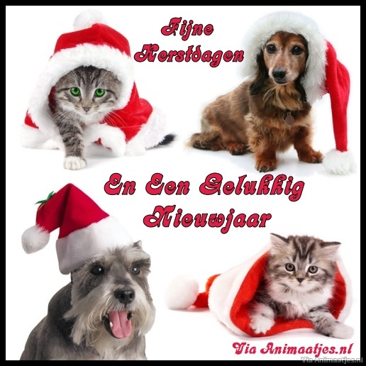 Kerst Facebook Plaatje » Animaatjes.nl