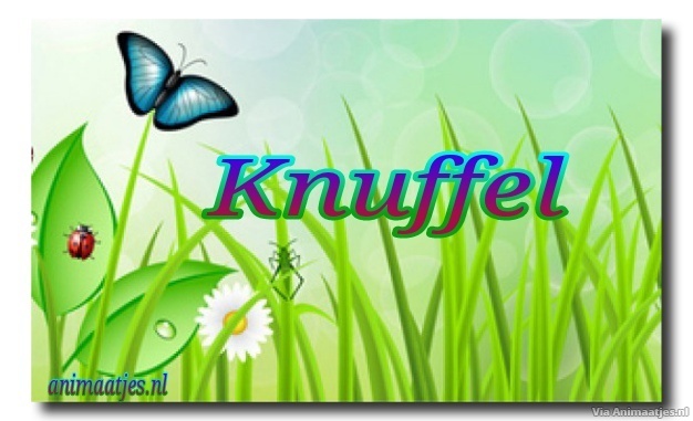 Knuffels Facebook plaatjes 