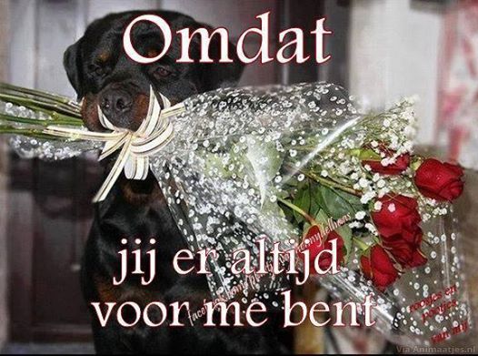 Liefde Facebook plaatjes 