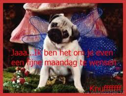 maandag Facebook plaatjes 