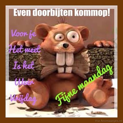 maandag Facebook plaatjes 