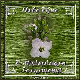 Pinksteren Facebook plaatjes 