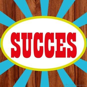 Succes Facebook plaatjes 