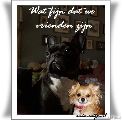 Vriendschap Facebook plaatjes 