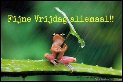 vrijdag Facebook plaatjes 