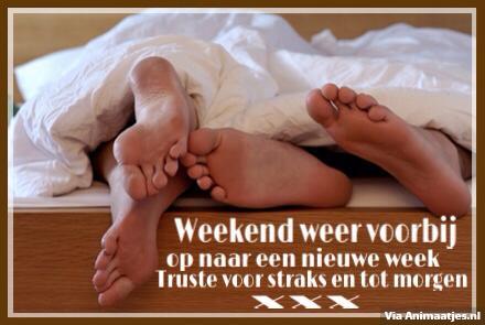 Welterusten Facebook plaatjes 