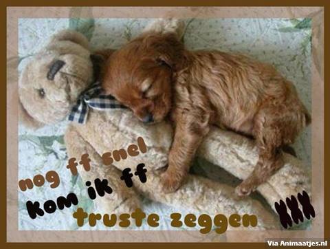 Welterusten Facebook plaatjes 