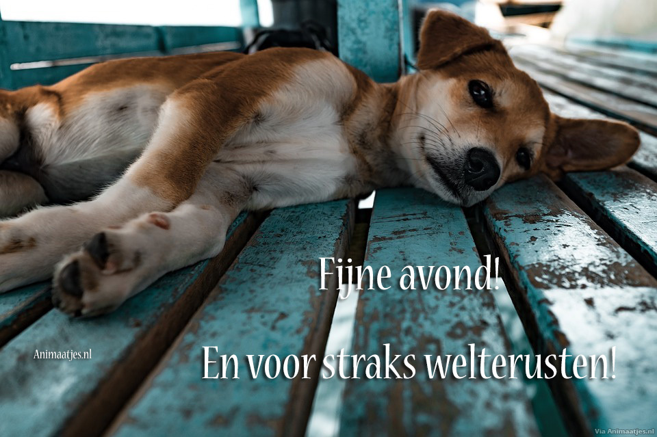 Welterusten Facebook plaatjes 
