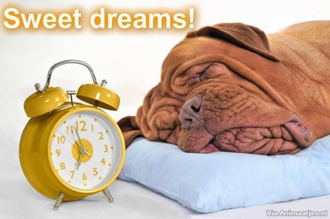 Welterusten Facebook plaatjes 