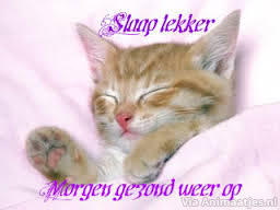 Welterusten Facebook plaatjes 