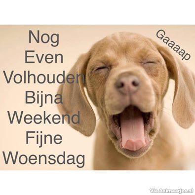 woensdag Facebook plaatjes 