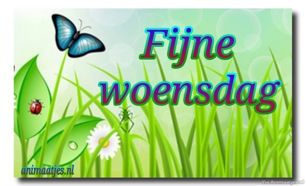 animaatjes-woensdag-38145.jpg