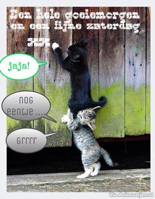zaterdag Facebook plaatjes 