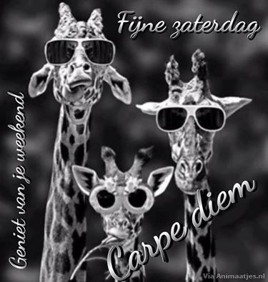 zaterdag Facebook plaatjes 