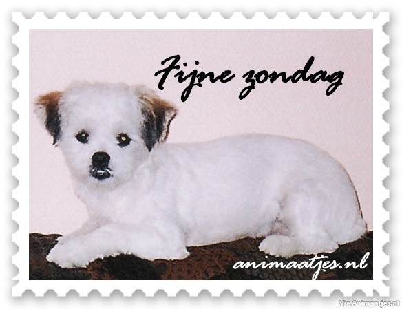 zondag Facebook plaatjes 