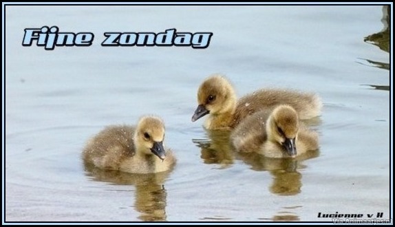 zondag Facebook plaatjes 