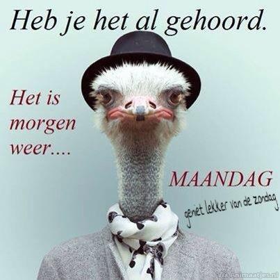 zondag Facebook plaatjes 