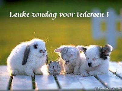 zondag Facebook plaatjes 