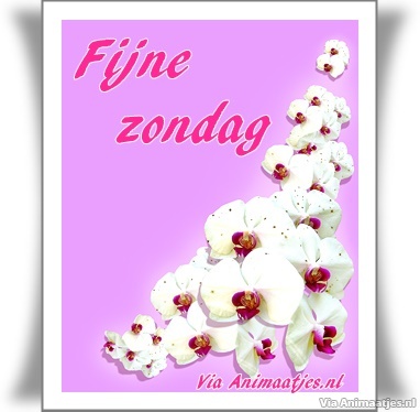 zondag Facebook plaatjes 